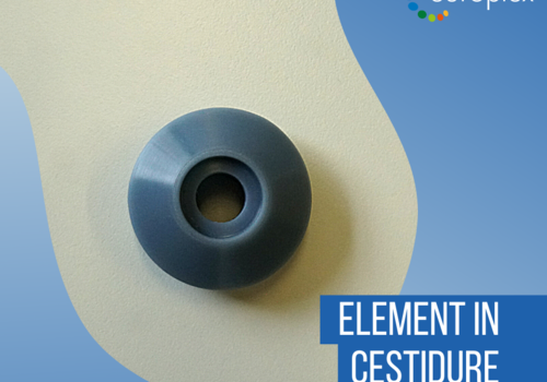 Element in CESTIDUR