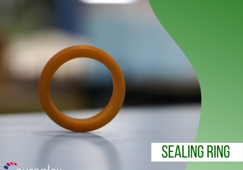 Sealing ring 