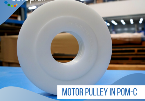Motor pulley in POM-c